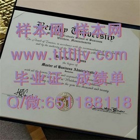 《深度揭秘：梅努斯大学毕业证、文凭、成绩单样本大解析，留学必备参考！》