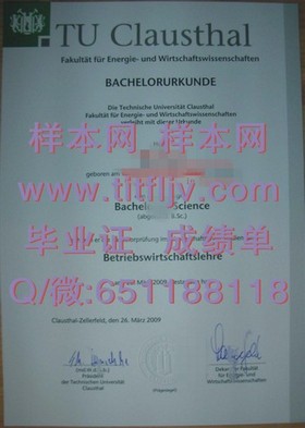《纽卡斯尔大学文凭揭秘：真实成绩单与毕业证样本深度解析》