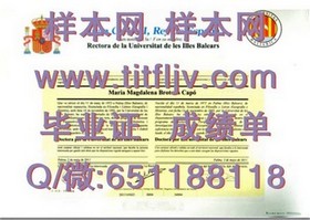《波士顿学院毕业证书样本深度解析：文凭与成绩单全貌揭秘》