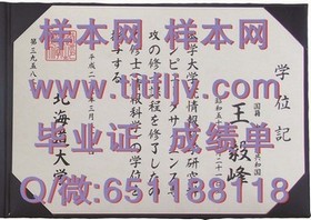 《金斯顿大学文凭样本大揭秘：成绩单样式解析与获取指南》