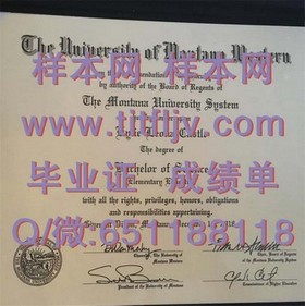 《基尔大学毕业证样本揭秘：文凭成绩单详解，留学必备参考》