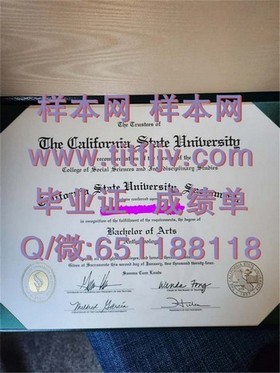 《肯高迪亚大学文凭揭秘：真实成绩单样本深度解析》