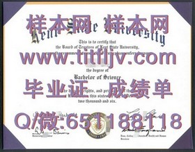 《揭秘里贾纳大学真迹：文凭成绩单样本全解析，留学必备指南》