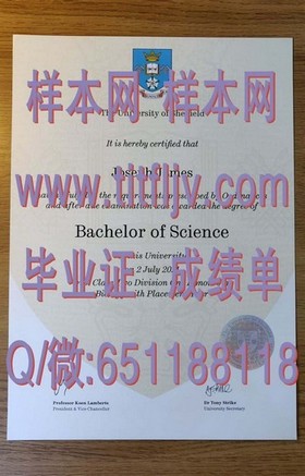 《麦吉尔大学官方文凭揭秘：毕业证、成绩单样本详解，助你了解真实学位证书》