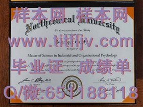 《纽芬兰纪念大学毕业证、文凭、成绩单样本详解：真实案例解析》