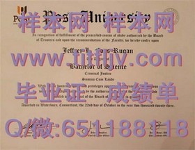 《深度解析：新布伦瑞克大学毕业证文凭成绩单真实样本大揭秘！》
