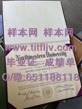 《荷兰屯特大学文凭样本详解：成绩单样式及毕业证细节全解析》