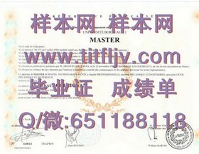 《锦江国际理诺士酒店管理专修学院毕业证样本解析：文凭成绩单全揭秘》