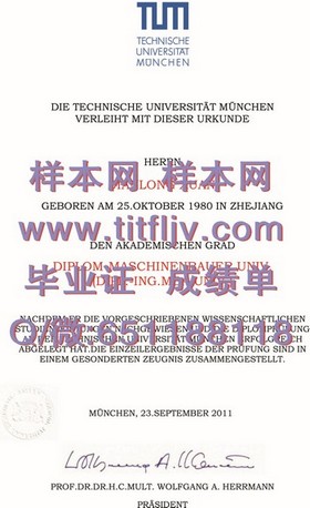 《意大利比萨大学文凭样本揭秘：真实成绩单展示，留学必备参考》