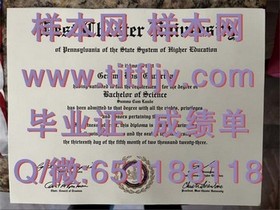 《深度揭秘：梅努斯大学毕业证、文凭及成绩单样本，留学必备指南》