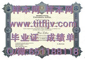 《利莫瑞克理工学院毕业证文凭成绩单样本大揭秘：真实样本解析与留学参考》