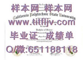 《新加坡共和理工学院毕业证、文凭及成绩单样本揭秘：留学必备参考指南》