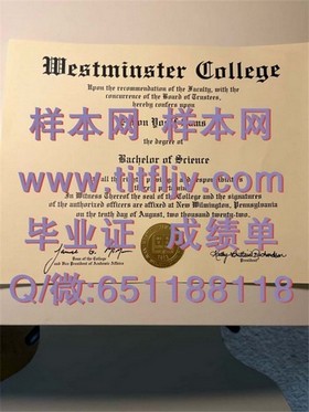 《南洋理工学院毕业证样本揭秘：文凭与成绩单详解，留学参考必备》