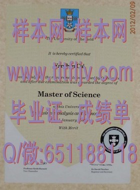 《伦敦商学院真实文凭样本曝光：成绩单解析与留学参考指南》