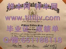 《深度揭秘：萨里大学文凭样本详解，助你快速识别真伪！》