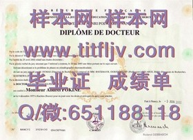 《西安大略大学文凭样本揭秘：真实成绩单样式一览》