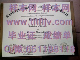 《梅努斯大学毕业证书文凭成绩单模板曝光：真实样本解析及申请指南》
