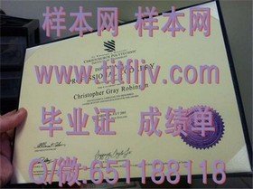 《曼彻斯特城市大学文凭全解析：成绩单样本揭秘，留学必备攻略》