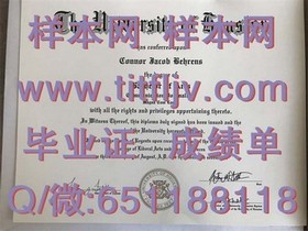 《独家揭秘：都柏林理工学院毕业证文凭成绩单样本全解析，留学必备！》