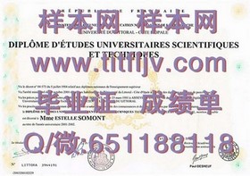 《利兹大学文凭全解析：成绩单样本大揭秘，留学必备攻略！》