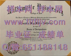 《纽卡斯尔大学文凭深度揭秘：成绩单与毕业证样本解析》