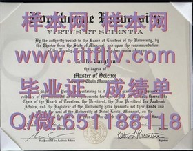 《伦敦商学院文凭大揭秘：成绩单样本解析，留学必备指南》