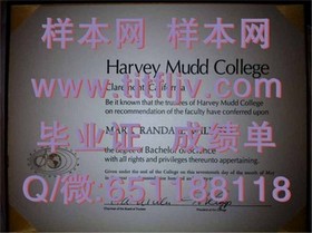 《揭秘埃塞克斯大学文凭样本：成绩单与毕业证全解析》