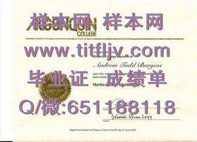 《深度揭秘：东伦敦大学官方文凭样本，带你一窥成绩单真貌》