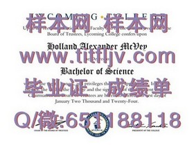 《利兹城市大学官方文凭样本揭秘：成绩单与毕业证详解》