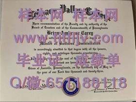 《深度揭秘：圣玛丽大学毕业证、文凭、成绩单样本详解，助你轻松识别真伪》