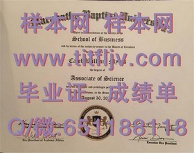 《基尔大学毕业证样本解析：文凭成绩单详解，留学参考必备》
