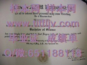 《索尔福德大学文凭揭秘：真实成绩单样本深度解析》