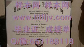 《新加坡国立大学文凭样本解析：成绩单与毕业证详解》