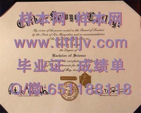 《新加坡义安理工学院毕业证文凭成绩单模板大揭秘：清晰样本助你了解真实格式》