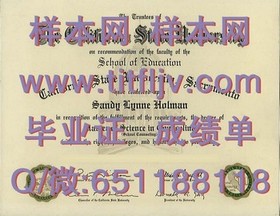 《马努考理工学院文凭样本详解：毕业证、成绩单一览，助你全面了解》