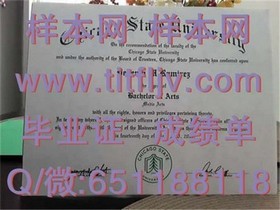 《里贾纳大学毕业证、文凭与成绩单详解：真实样本深度剖析》