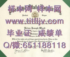 《荷兰屯特大学官方文凭样本解析：成绩单与毕业证详解》
