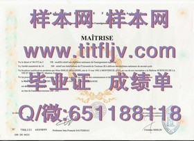 《新南威尔士大学官方文凭样本大揭秘：成绩单解析与留学参考指南》