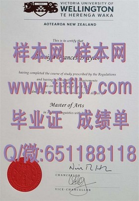 《南澳大学文凭样本揭秘：成绩单详解，留学必备指南》