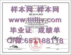 《利物浦大学文凭样本深度解析：成绩单、毕业证全解析，留学必备攻略》