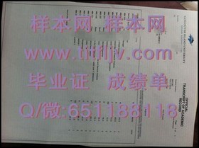《纽卡斯尔大学文凭样本揭秘：真实成绩单展示与解读》