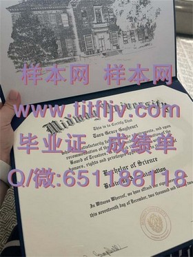 《兰卡斯特大学文凭样本大揭秘：如何辨识真伪与成绩单详解》