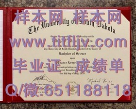 《揭秘利兹城市大学文凭样本：成绩单解析与获取指南》