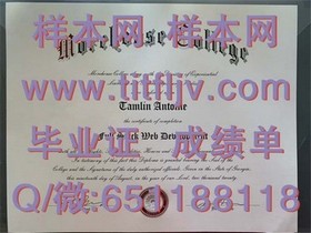 《揭秘伦敦吉尔德霍尔大学真迹：文凭成绩单样本大曝光》