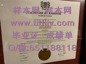 《独家揭秘：都柏林城市大学官方文凭成绩单样本，留学必备参考！》