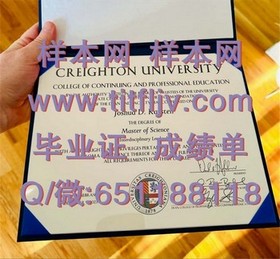 《深度揭秘：利默里克大学毕业证、文凭及成绩单样本，留学必备资料一览》