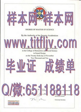 《斯文本科技大学文凭样本大揭秘：真实成绩单样式全解析》