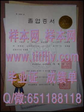 《一窥圣安德鲁斯大学真貌：毕业证文凭成绩单样本解析》