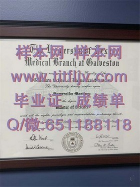 《深度揭秘：萨里大学官方文凭样本，成绩单详解，留学必备指南》
