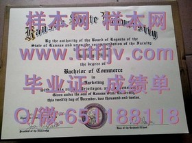 《蒂赛德大学文凭揭秘：真实成绩单样本深度解析，助你了解毕业证书细节》